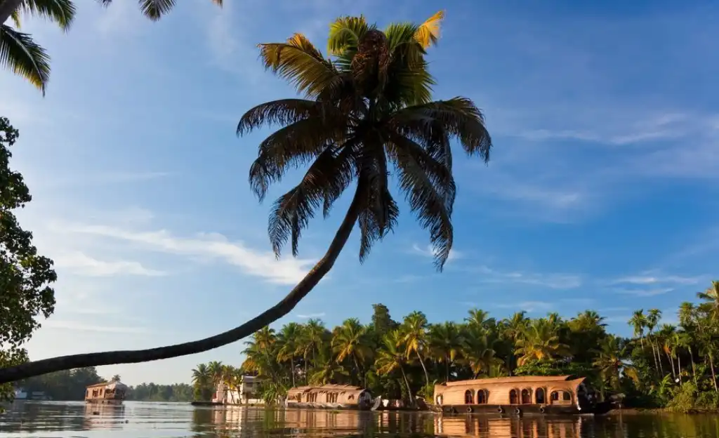 Architects in Kerala: Innovative, Sustainable, and Stylish