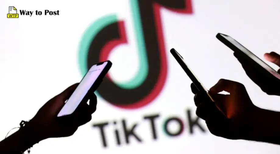 The prank “How long do idiots live?” widely proliferated thanks to TikTok