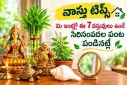 Vastu Tips 7 Auspicious Things to Keep at Home for Wealth and Prosperity