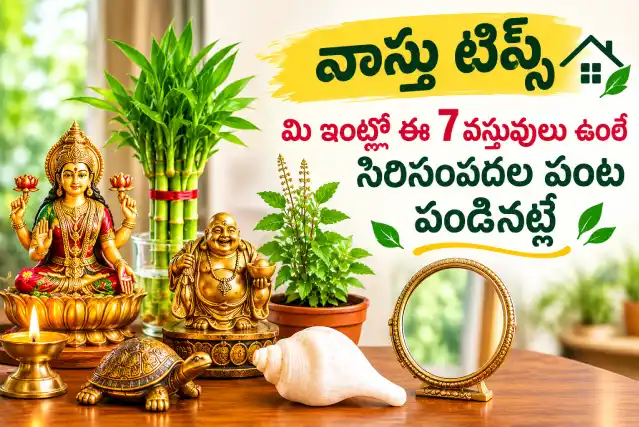 వాస్తు టిప్స్: ఇంట్లో ఈ 7 వస్తువులు ఉంటే సిరిసంపదలు పెరుగుతాయని నమ్మకం
